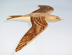 Sycamore. 240 mm wingspan. Cut from platter. Pyrographed feathers. Ref 11.02