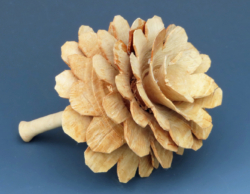 70 mm diameter. Special curved tools used. Ref 17.04