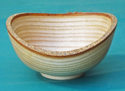 150 mm diameter. Bark retained. Ref 19.14